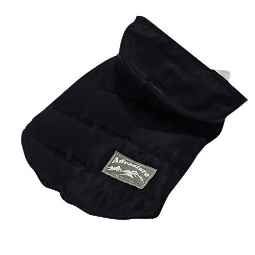 hM[} Ahx`[_E u[ ybgp SS TCY