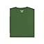 Rainforest Green