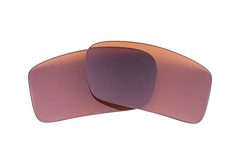 LenzFlip Oakley Gascan 交換レンズ 偏光 マルチオプション オークリー ガスカン