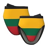 Mini-Silikon-Flagge von Litauen, Ofenhandschuhe, Topflappen-Set, hitzebeständig, ideal zum Backen, Kochen und Camping, 2 Stück