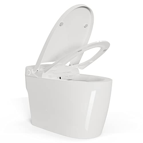 The Best Luxury Toilet of 2024