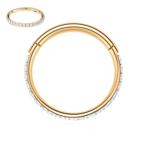 Conch Helix Tragus Daith Rook Piercing Jewelry Gold Septum Rings 16G Septum Jewelry Nose Rings Hoops Cartilage Earring Cartlidge Jewelry Conch Cartilage Hoop Earring Septum Clicker Lip Ring 10mm