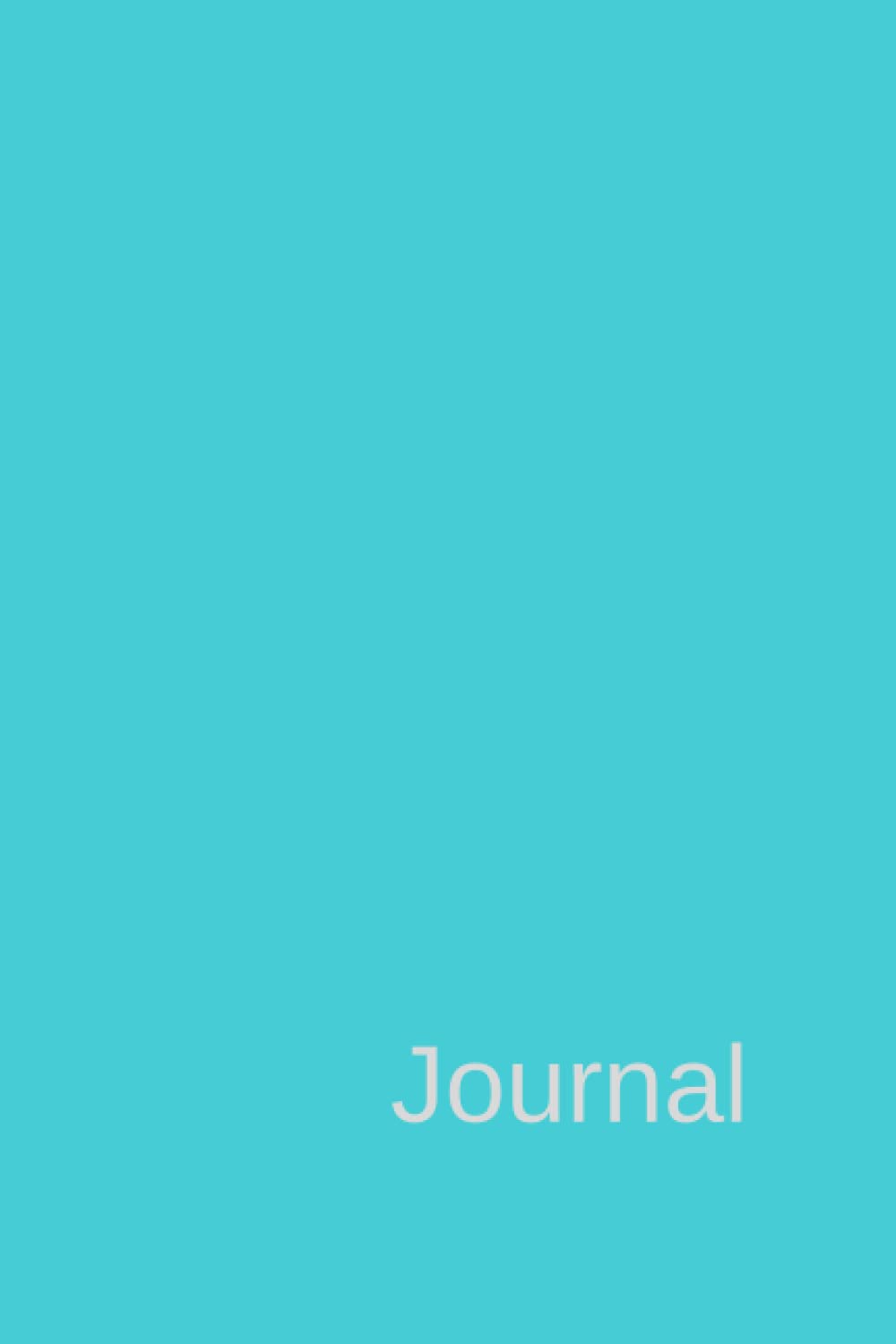 Daily Bullet Planner and Journal: Daily Bullet Planner and Journal with Aqua with Journal in Grey Text Matte Finished Cover. Great for Men, Women, ... want to Track and Journal about Their Day.
