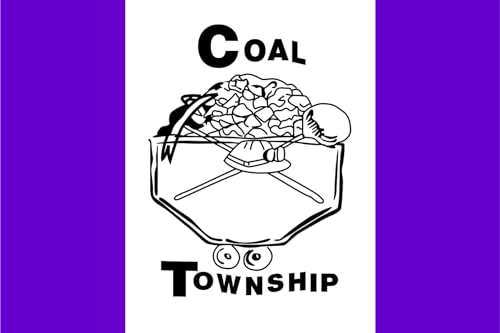 Drapeau Coal Township Pennsylvania grand drapeau paysage extérieur pour mât horizontal - 2