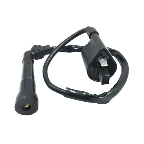 Bobine d'allumage et boîtier CDI pour VTT YFM350 2004-2013