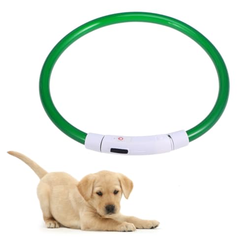 LIGHTAOTAO Collar para Perros LED Recargable USB de 50 Cm Luz Verde, Longitud Ajustable y Simple para Paseos Nocturnos Seguros