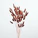 120 PCS Rust Orange Dried Pampas Grass Decor, 17-inch Pompas Floral, Dry Flowers for Decoration, Pampas Grass in all, Bunny Tails Dried Flowers for Boho Wedding Decor