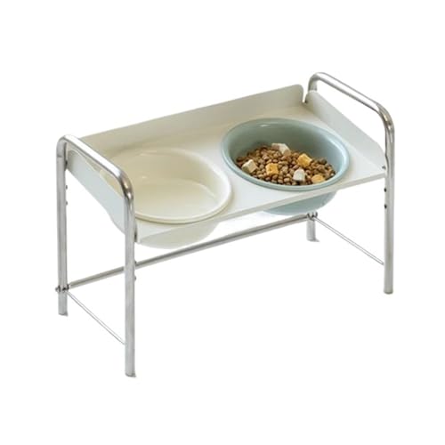 Gamelle pour chat inclinée en inox anti-vomissement pour la protection buccale