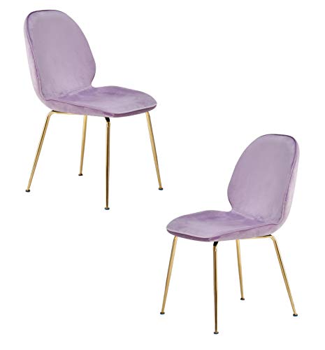 Best Master Furniture Tara Velvet Dining Chairs with Gold Plated Legs, Set of