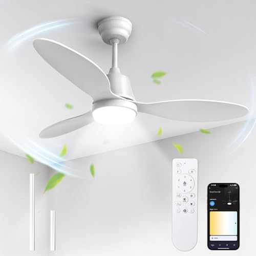 BLITZWILL Ventilatore da Soffitto con Luce, Ø106cm Ventilatori da soffitto con Illuminazione LED,...