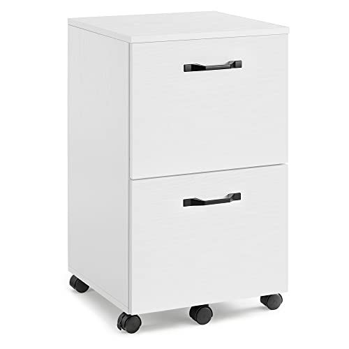 VASAGLE 2-Drawer Filing Cabinet, Mobile File Cabinet for Home Office, Small Rolling Filing Cabinet, Printer Stand, for A4, Letter-Size Files, Hanging File Folders, White OFC040W46