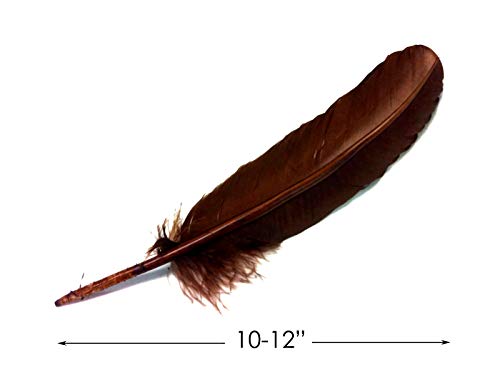 1/4 Lb - Brown Turkey Tom Rounds Secondary Wing Quill Right Facing Wholesale Feathers (Bulk) Halloween Wedding Craft Supply | Moonlight Feather #TOP1