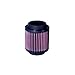 K&N PL-1004 Poaris High Performance Replacement Air Filter