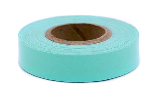 ChromaLabel 1/2 Inch Colored Masking Tape, Ideal for Kids Clean Remove Labeling Tape, 500 Inch Roll (13.88 Yards), Aqua