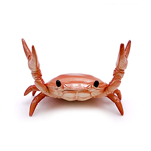 Organisateur De Bureau - DIOCHE - Porte-Stylos Multifonctionnel