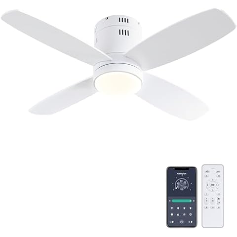 Ohniyou 38'' Ceiling Fan with Lights Cover