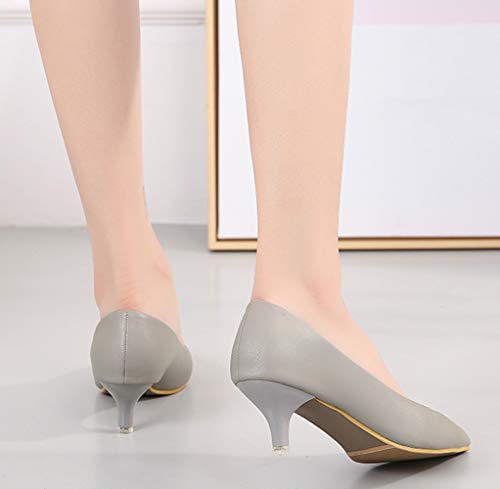 Lnafan Women's Ladies' Slip On Kitten Heels Court Shoes Dress Pumps Office Work Shoes Grey Size 7UK