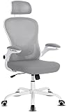 Misolant Desk Chair, Ergonomic Mesh Chair, Office Chair, Ergonomic Office Chair with Headrest, Ergon