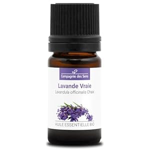 ECHTER LAVENDEL (Lavandula officinalis) BIO - 5ml - Premium-Qualität Ätherisches Öl - 100% Rein, Natürlich, Chemotypisiert & Vollspektrum