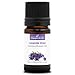 ECHTER LAVENDEL (Lavandula officinalis) BIO - 5ml - Premium-Qualität Ätherisches Öl - 100% Rein, Natürlich, Chemotypisiert & Vollspektrum