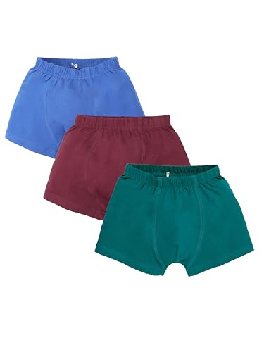 Image of KiddoPanti Boys Boxer Shorts Pack of 3 | Soft Cotton-Lycra Blend | Comfortable Fit with Bio Wash for All-Day Comfort | Kids Briefs