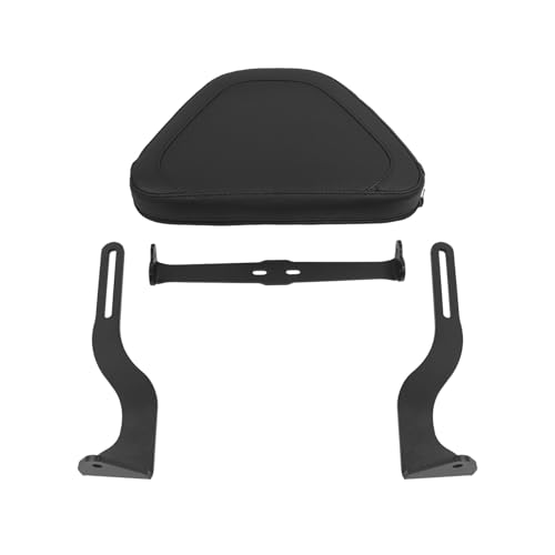 Coussin dossier arrière amovible pour sissy bar RA1250 S avec mousse haute densité ergonomique