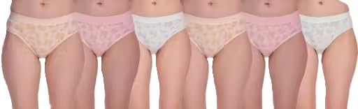 Women Hipster Body Shaper Panty Pack of 6 with Tummy Support Comfortable Hosiery Fabric Multi 1 L-image-45