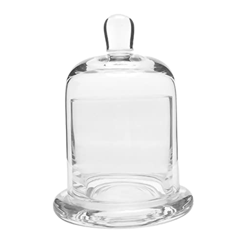 Artibetter 1 Set Campana Di Portacandele Per Candele in Vaso Cloche Centrotavola Da Tavolo Cupola Decorativa in Trasparente Portacera Bicchiere Piante Grasse Con Basamento