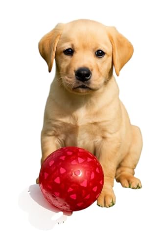 WAGGYTAILS Dog Toy Ball – Durable Red Rubber Balls with Heart & XOXO Print – Chew-Ball Squeaky Toy for Small to Medium Dogs