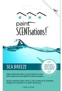 Paint Scentsations 108-01 1 oz. Sea Breeze (SBP) - 8ct. Case