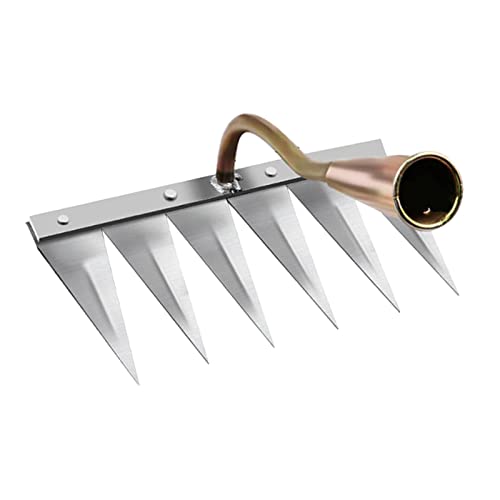 Freneci V[vK[fGbW[Aϋv̂K[fjOLnhc[v[[ANZT[AƁAɂ߁A_̐A͗p, 6̓