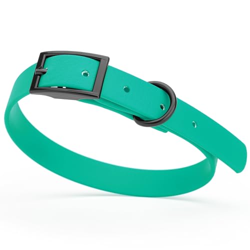 Image of Dogline Biothane Waterproof Dog Collar Strong Coated Nylon Webbing with Black Hardware Odor- Proof for Easy Care Easy to Clean High Performance Fits Small Medium or Large Dogs, Teal