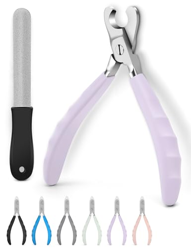 heouvo ϋvpܐ؂ -yo^[̂悤ɑ܂؂zyAbvO[hꂽ傫ȊJzvtFbVi̒܃g}[J~\V[vu[h ^狐匢p (p[v)