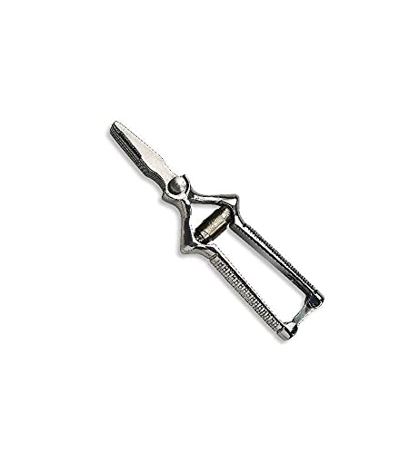 Identités Masticateur Acier Inoxydable