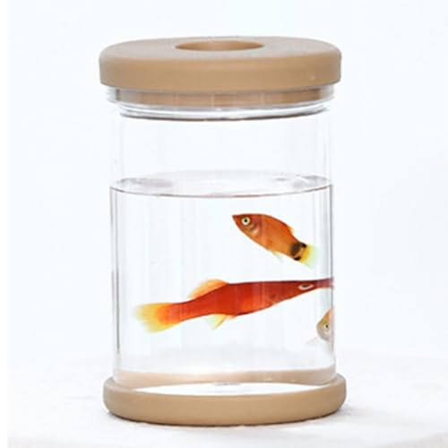 Zilimontt 2 macetas transparentes para plantas pequeñas en maceta, macetas transparentes con función de autorriego, material PET resistente para interiores