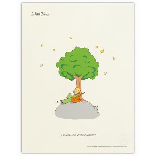 Poster Le Petit Prince et Renard Oneart affiche d'art 50x70cm