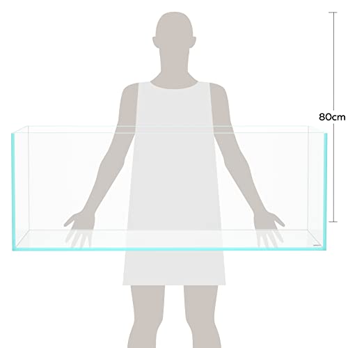Image of LANDEN 120P 78.4 Gallon Rimless Low Iron Aquarium Fish Tank, W47.2xD23.6xH17.7 in(120x60x45cm); 12 mm Thickness with Nano Foam Leveling Mat Included