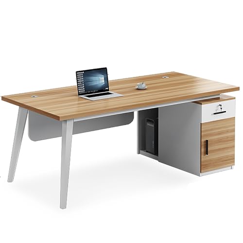 引き出しとファイル引き出し付きコンピューターデスク、エグゼクティブデスク、大型オフィスデスク、スタンディングデスク、学習テーブル、ワークステーション、ドア付き収納キャビネット付きビジネス家具(E)