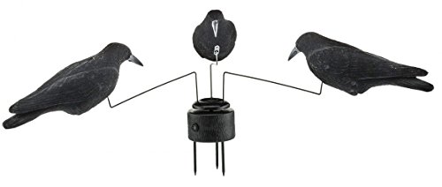 Stepland Appelant Marque Manege 3 Corbeaux Adulte Unisexe, Noir, Unique