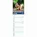 Carousel Worldwide, RSPCA British Wildlife 2026 Slim Wall Calendar