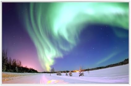 Pannello Radiante Infrarossi con Immagine 600W, Riscaldatore a In...