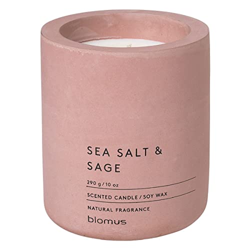 blomus -FRAGA- Duftkerze L aus Sojawachs, Withered Rose, hochwertiger Raumduft, charakteristische Beton-Optik, Duft SEA SALT & SAGE, 55 h Brenndauer (H / B / T: 11 x 9 x 9 cm, Withered Rose, 65656)
