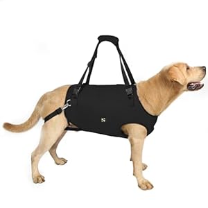 Coodeo Dog Lift Harness, Pet Support & Rehabilitation Sling Lift Adjustable Padded Breathable Straps for Old, Disabled, Joint Injuries, Arthritis, Loss of Stability Dogs Walk (Black, L)
