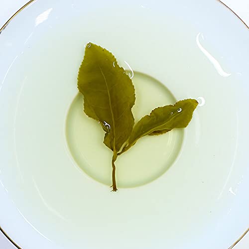 TEARELAE - Taiwan Milk Oolong Tea - 3.53oz/100g - Authentic Taiwan Tea Jin Xuan - Taiwanese Hand-picked Oolong Tea Loose Leaf - Help to Detox