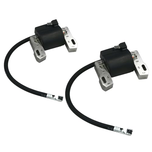 The ROP Shop Pack of 2 Ignition Module Coils for 799651, 691060 Intek V-Twin Engines