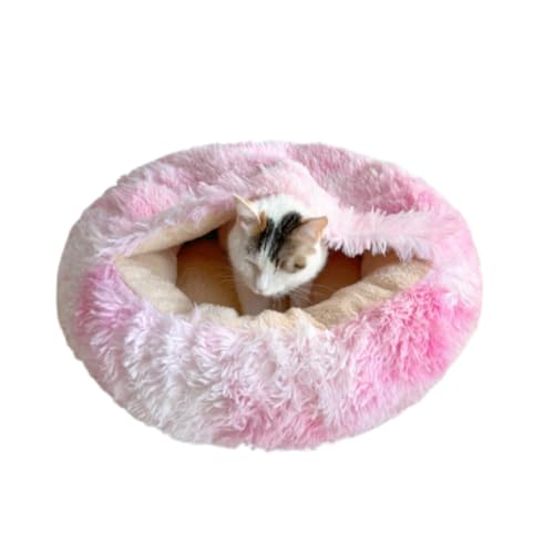 LnEX L ۉ ӂ ybgxbh ӂӂ g Lxbh  ~ h ΍  p ~p Lp p