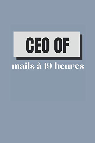 CEO OF mails à 19 heures: Carnet de notes destiné aux employés d'agence de publicité, communication et marketing tels que les community manager