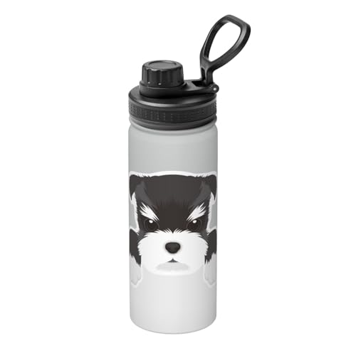  킢 ViEU[ q  XeX{g @r 500ml  ۗۉ ^fM X|[c{g e nht ^ Rh~  oR AEghA ʋ ʊw