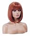 NJJYXH 14 Inches Ginger Wigs for Women Short Straight Bob Copper Red Wig with Bangs Auburn Synthetic Hair for Daily Use,Cosplay, Halloween