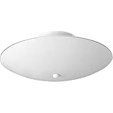 Progress Lighting 12' Round Glass 2-Light Close-to-Ceiling, Indoor, P4609-30, White